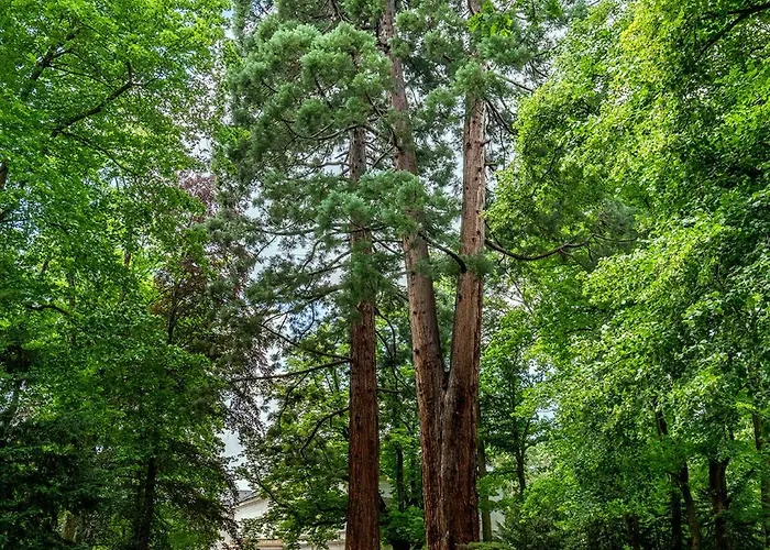 Separe V Zahrade Hotel Ratmerice