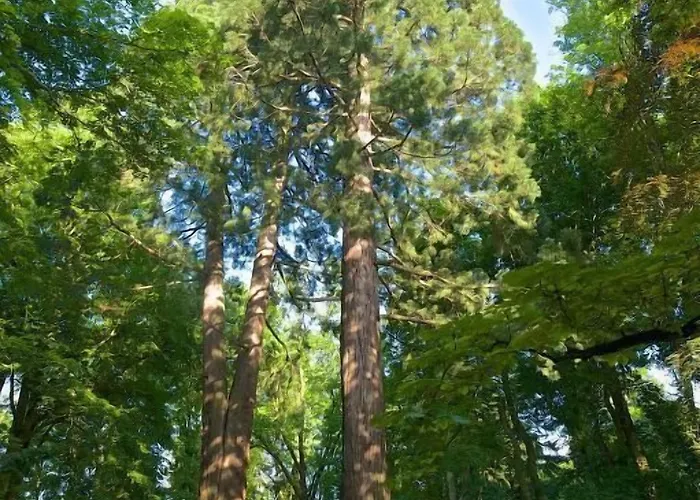 Separe V Zahrade Hotel 3*